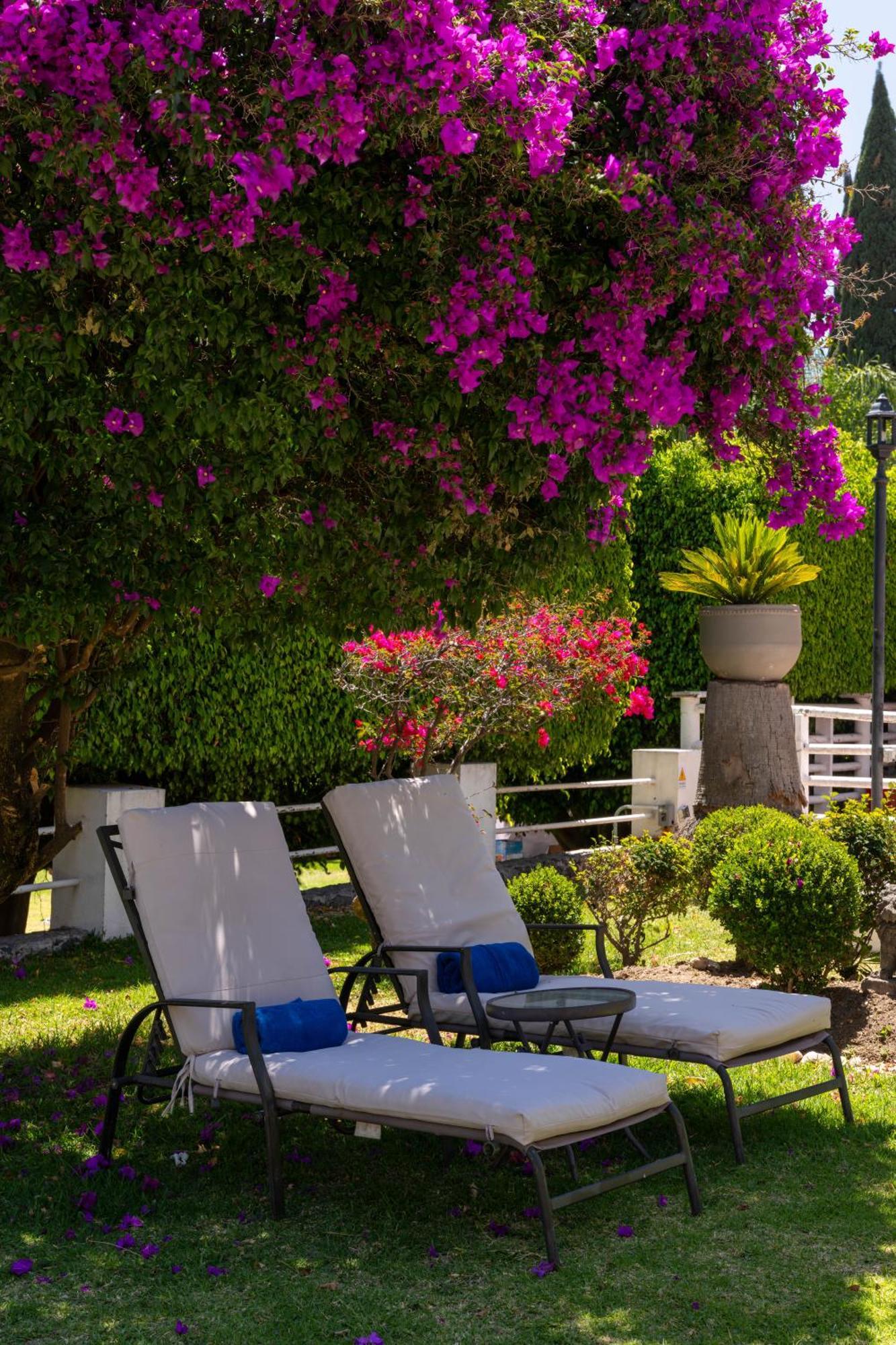 Rio Tinto Hotel Boutique Atlixco Dış mekan fotoğraf